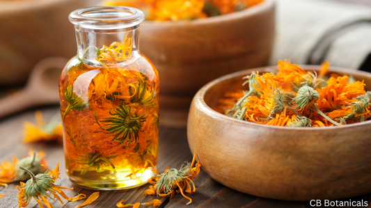 Why Choose Herbal Products
